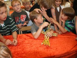 Schützenfest 2010